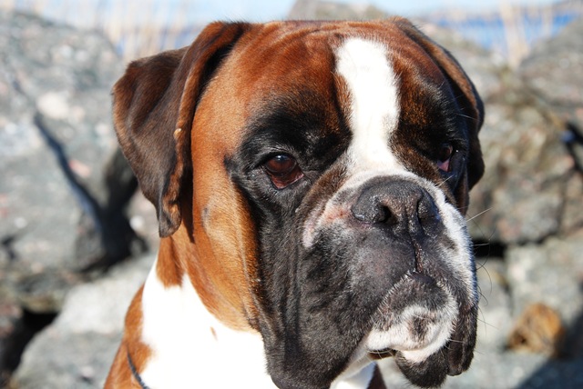 [DSC_0210c[6].jpg]
