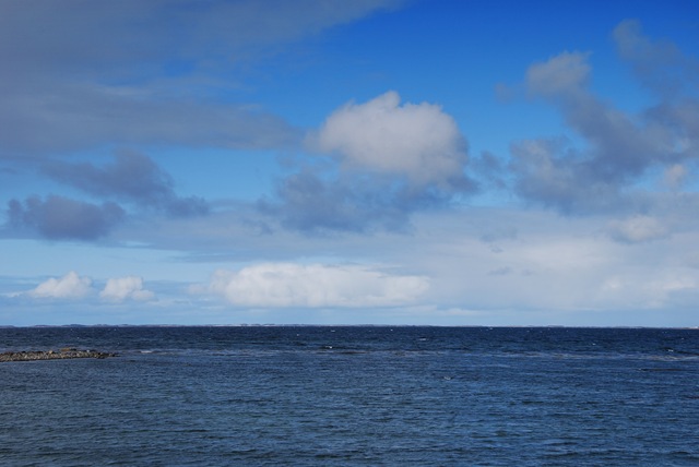 [DSC_1251c[5].jpg]