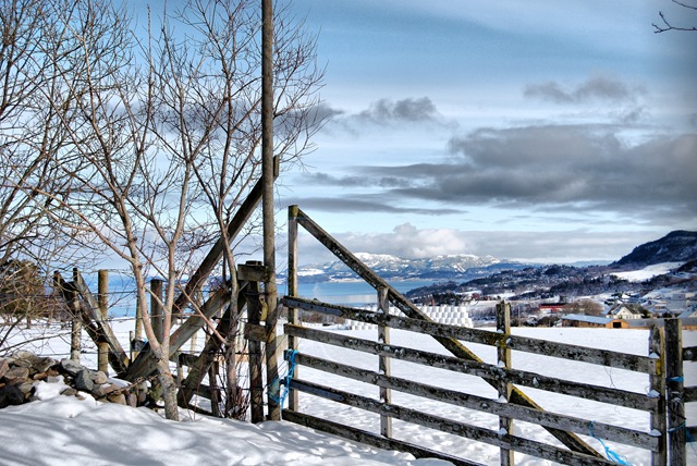 [DSC_0111_fhdr[6].jpg]