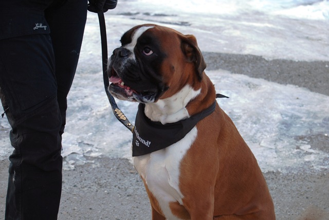 [DSC_2822_c[4].jpg]