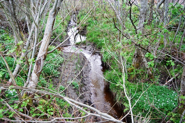 [DSC_5594_c[6].jpg]
