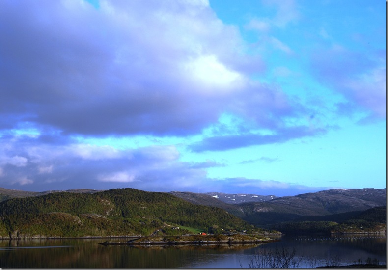 DSC_5638_c