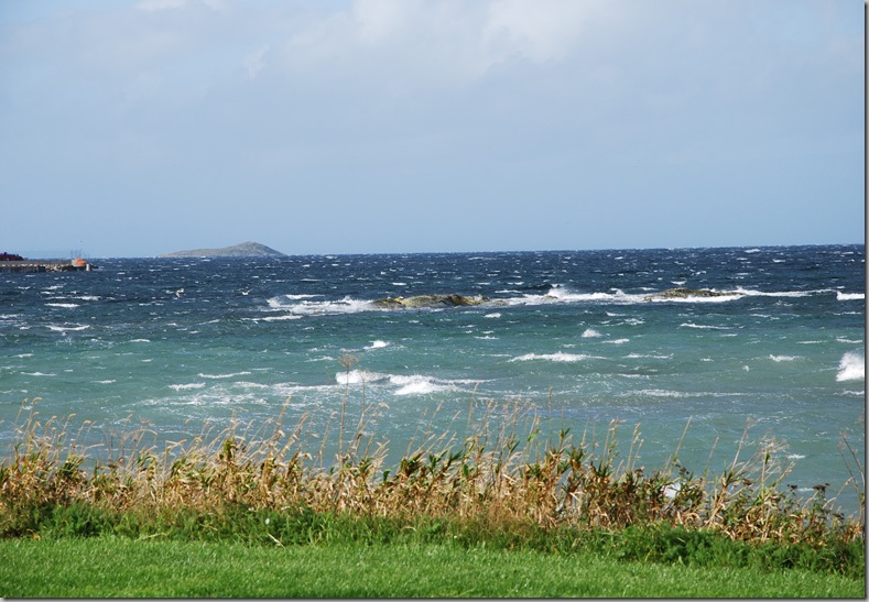 DSC_7862 DSC_7862