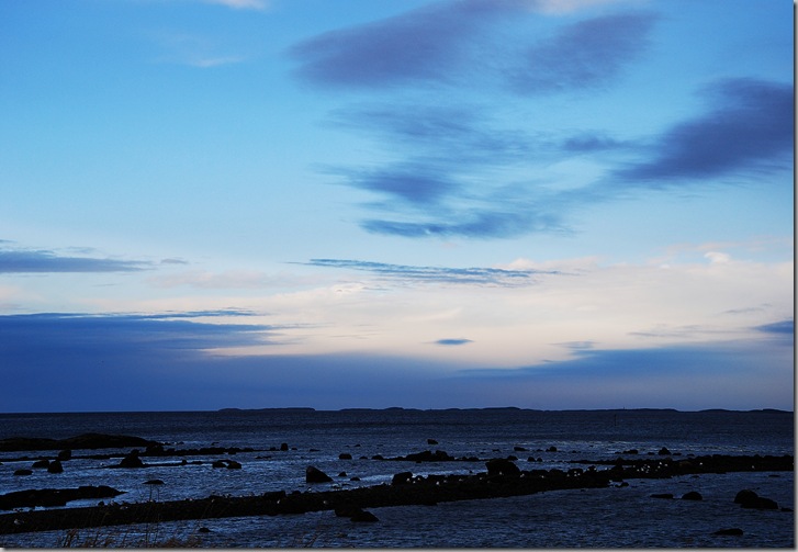 DSC_8683_c