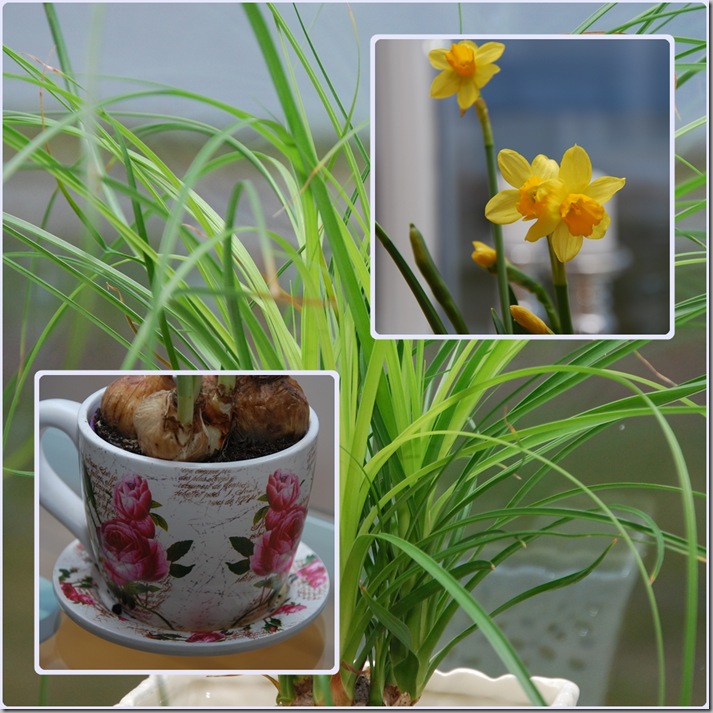 blomst