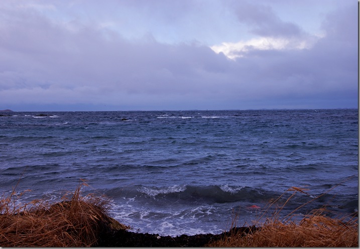 DSC_3964c