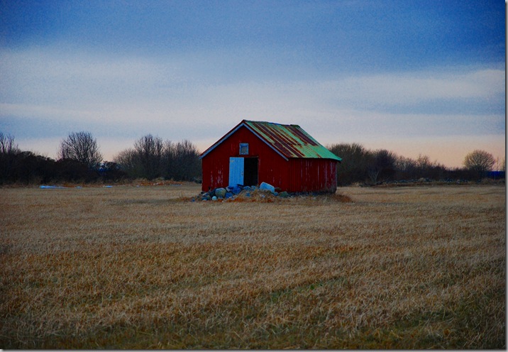 DSC_4113c