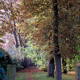 Parkje Dobbelmannweg