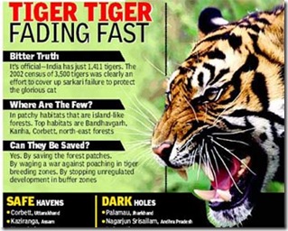 save-tigers save-tigers
