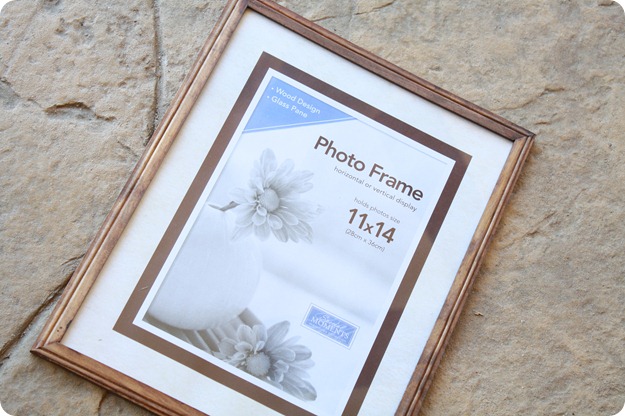 11x14 Frame from the Dollar store - $1 IMG_1830
