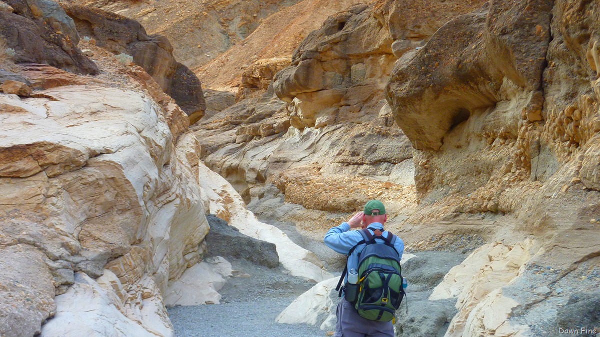 [mosaiccanyon_0303.jpg]