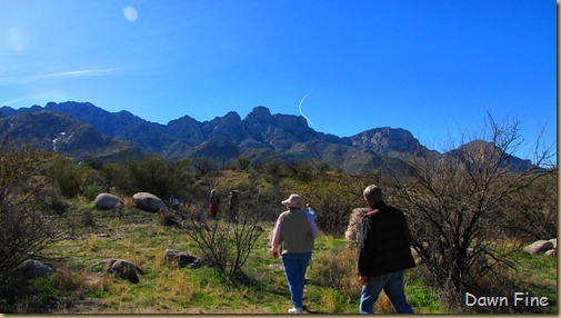 bird walk catalina state park_022