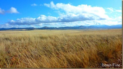 San Rafael Grasslands_011