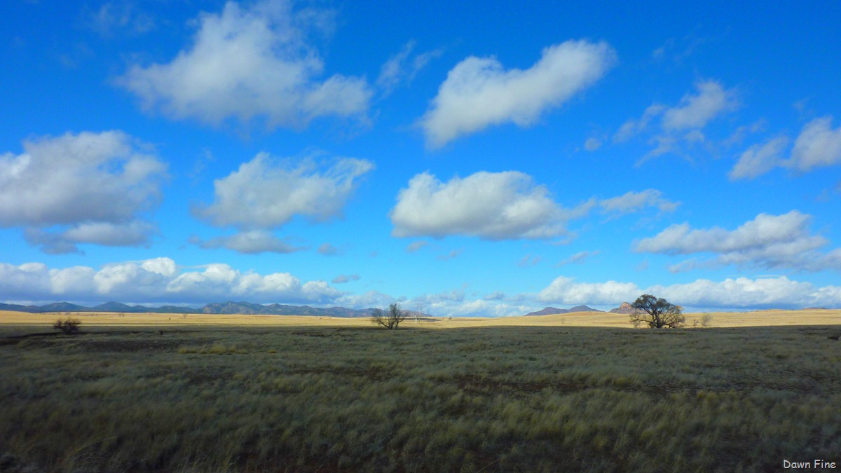 [San Rafael Grasslands_016[3].jpg]