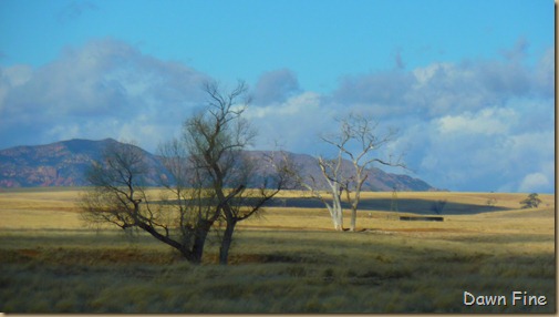 San Rafael Grasslands_017