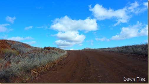 San Rafael Grasslands_019