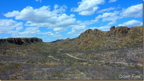 Big Bend Ranch State park_101