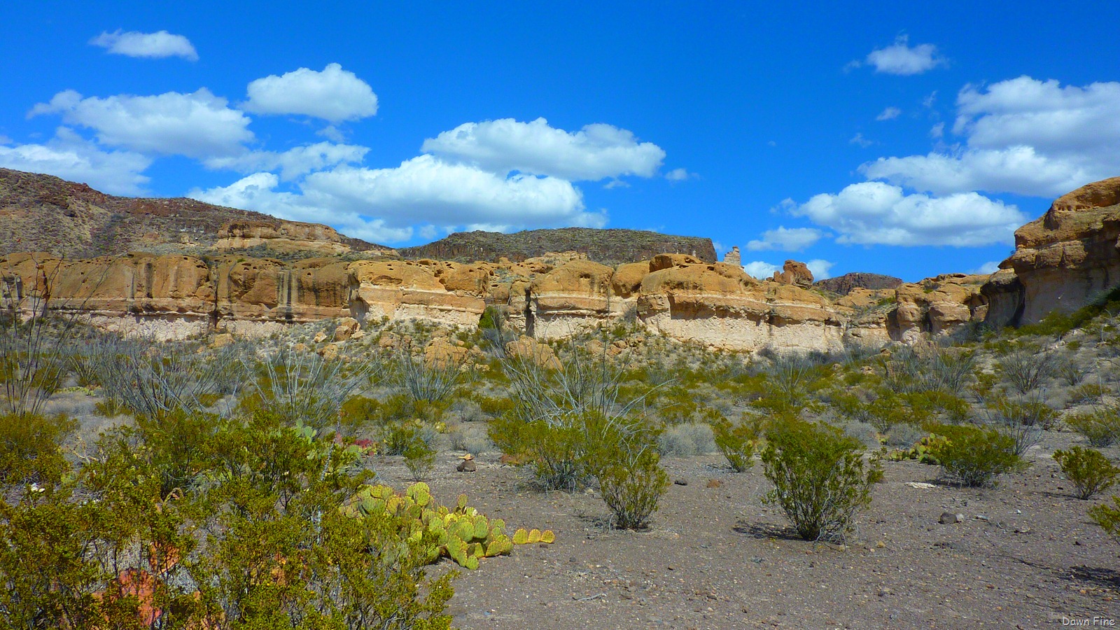 [Big Bend Ranch State park_106[3].jpg]