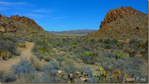 Grapevine to Balanced rock_016