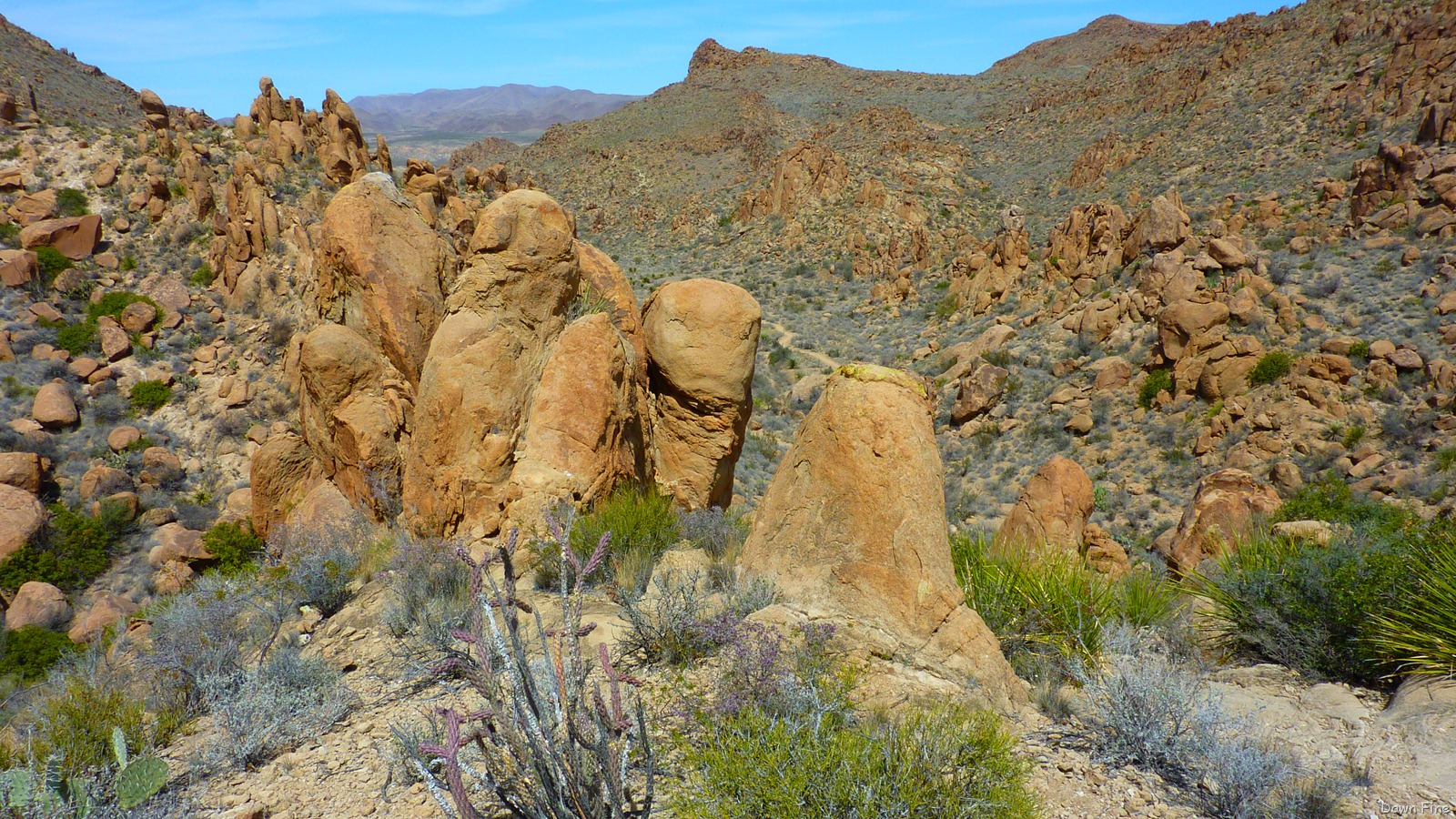 [Grapevine to Balanced rock_037[3].jpg]