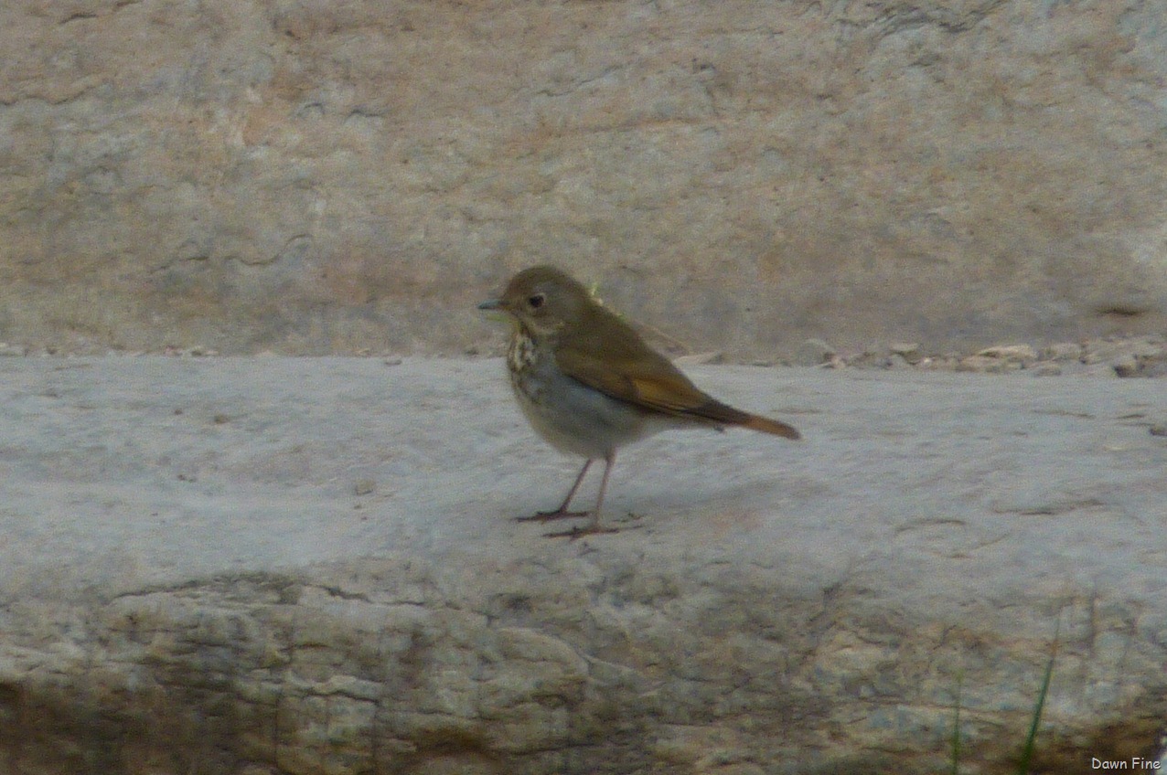 [Windowhike_0655.jpg]