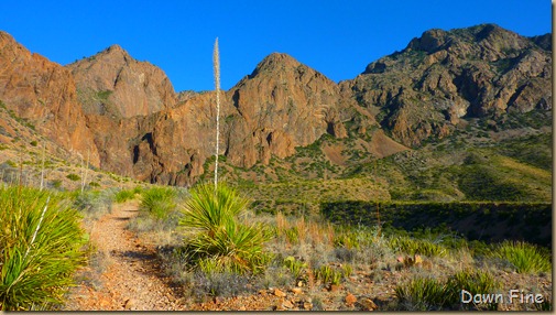 Cat tail Falls_015