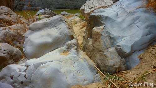 [SantaElena_0423.jpg]