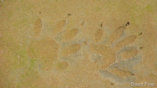 [SantaElena_0403.jpg]