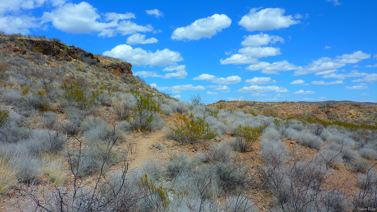 [Big Bend Ranch State park_047[3].jpg]