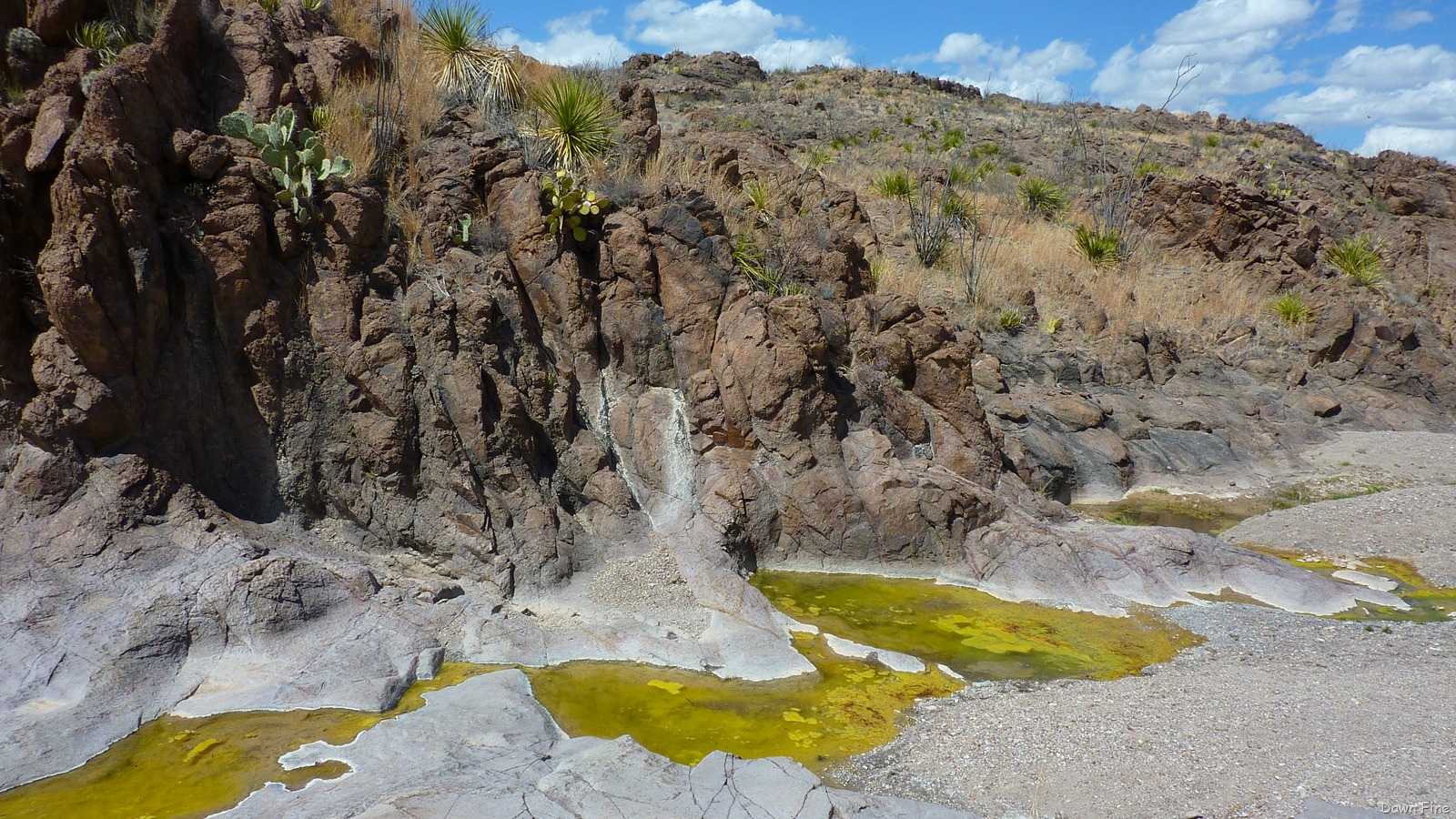 [Big Bend Ranch State park_092[2].jpg]