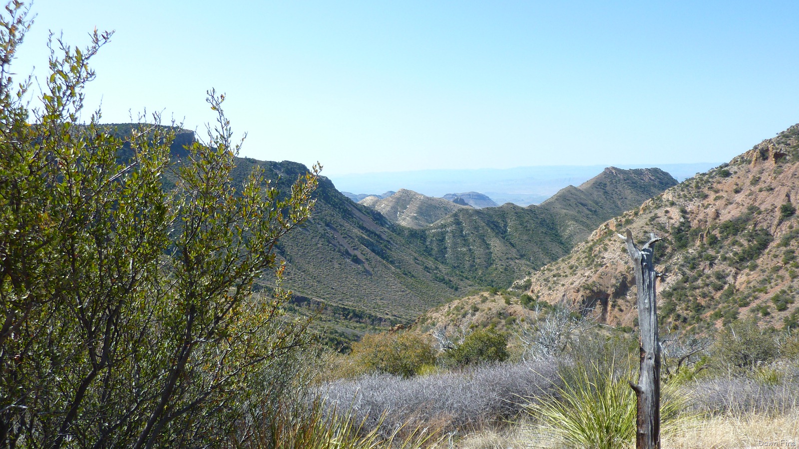 [SouthrimhikeBigbend_0222.jpg]