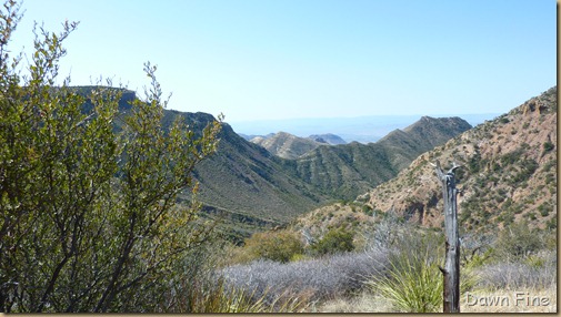 South rim hike,Big bend_022