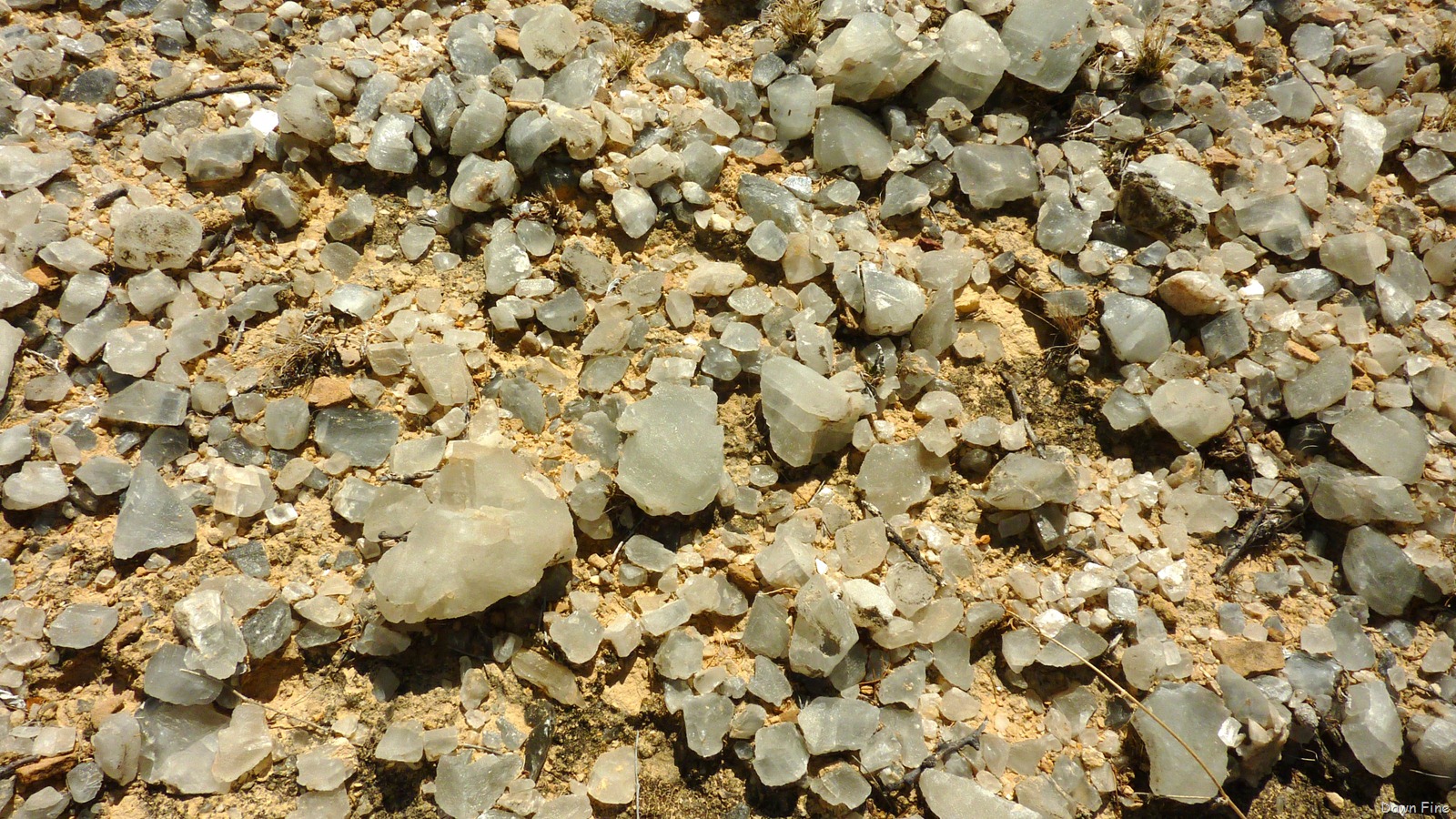 [Crystaltrail_0352.jpg]