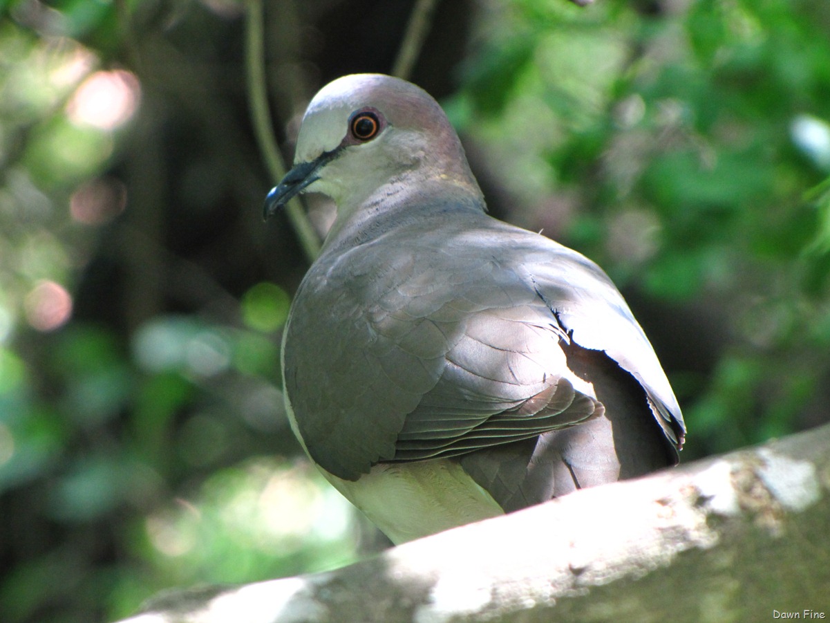 [Birding valley nature center_033[2].jpg]