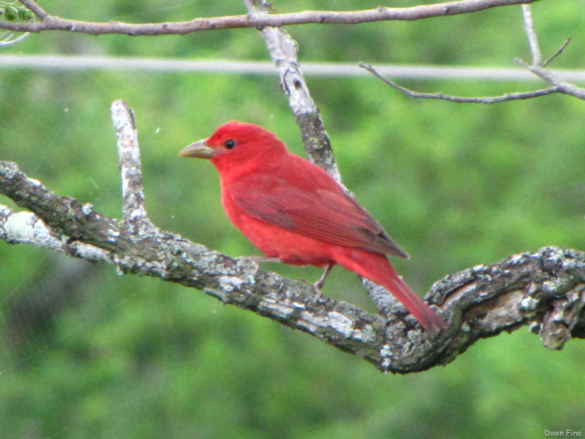 [santaanaandbenston_0159.jpg]