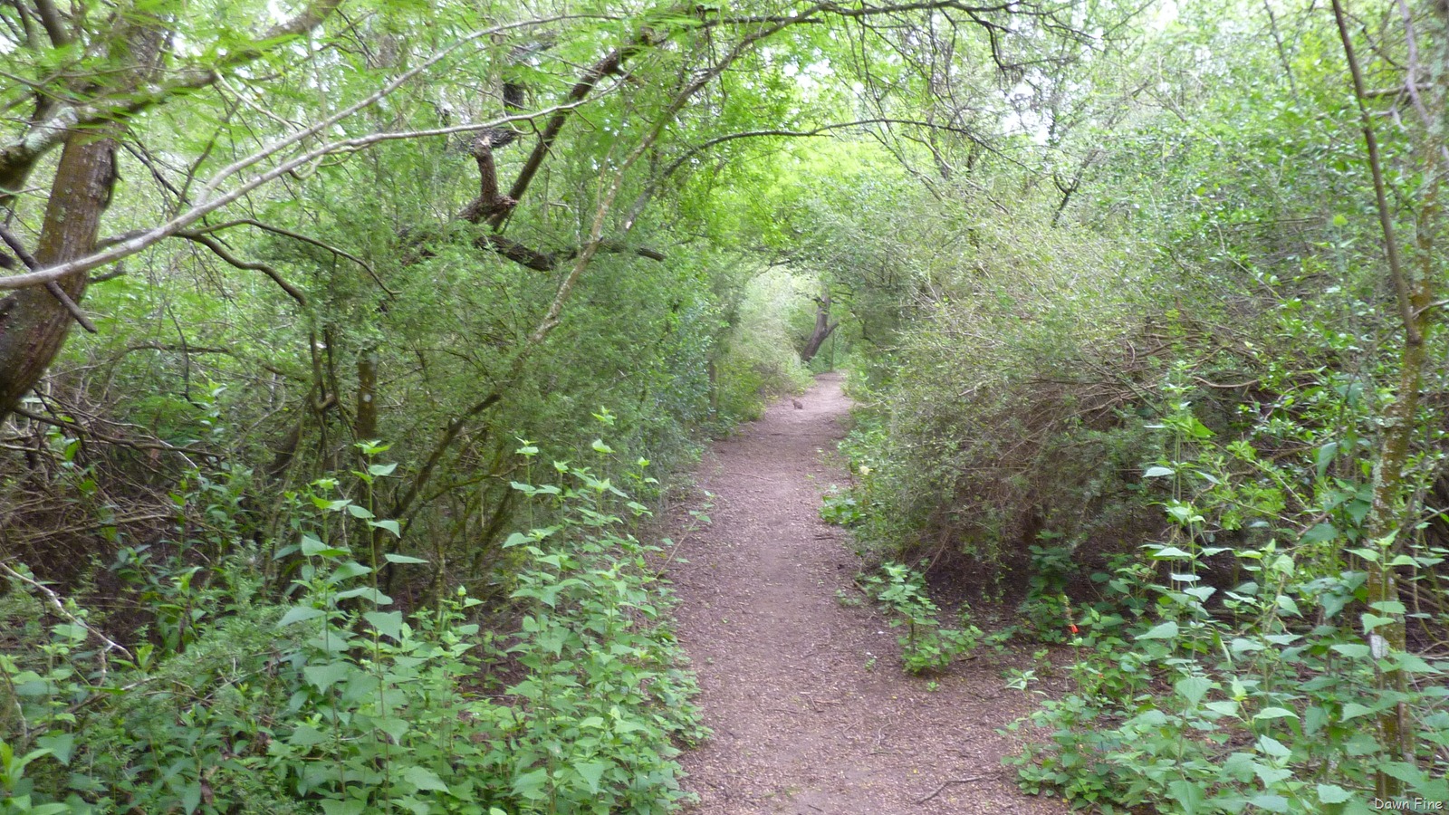 [esterollano_0272.jpg]