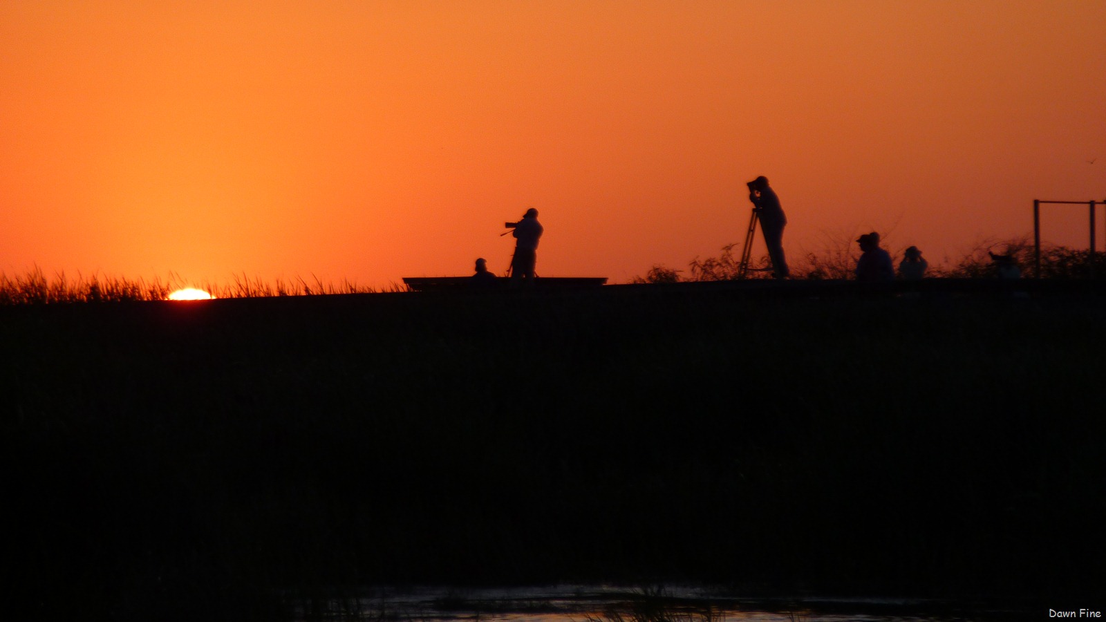 [thebigsitGroovybilledAnis_0194.jpg]