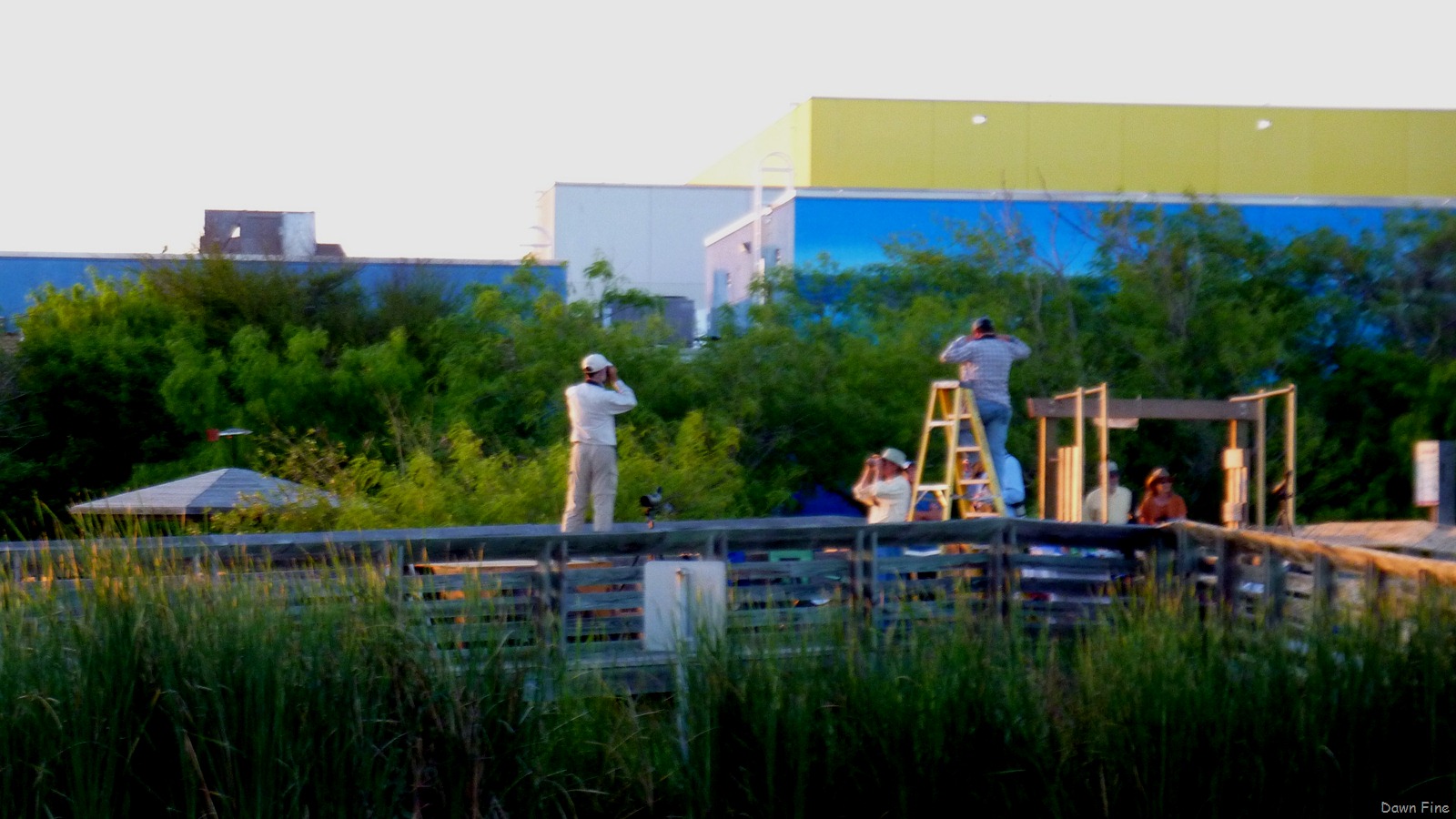 [thebigsitGroovybilledAnis_0134.jpg]