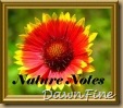 nature-notes2