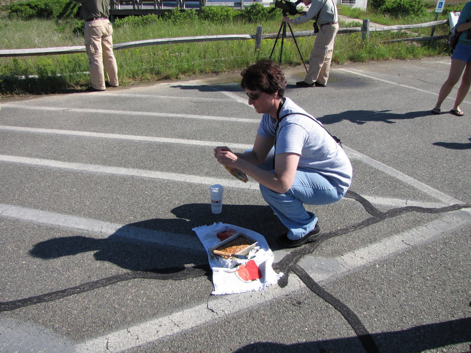 [BirderswhoBlogTweetandChirp_20090613[24].jpg]