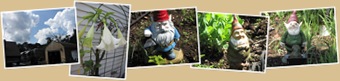 View dads gnomes