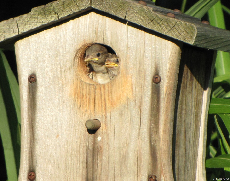 [lorisandthebeach_20090719_2143.jpg]