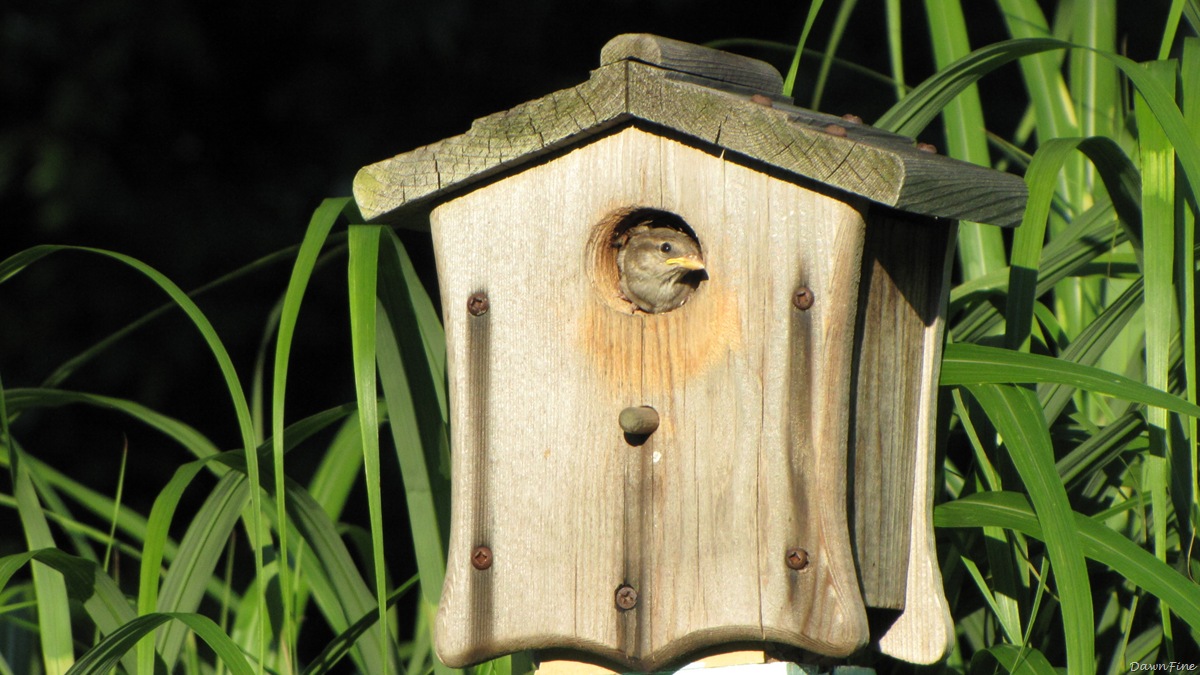 [lorisandthebeach_20090719_1752.jpg]