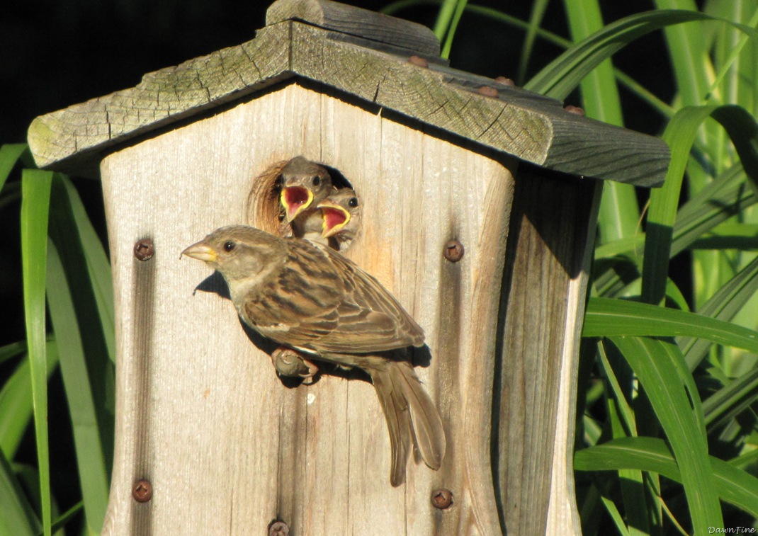 [lorisandthebeach_20090719_2133.jpg]