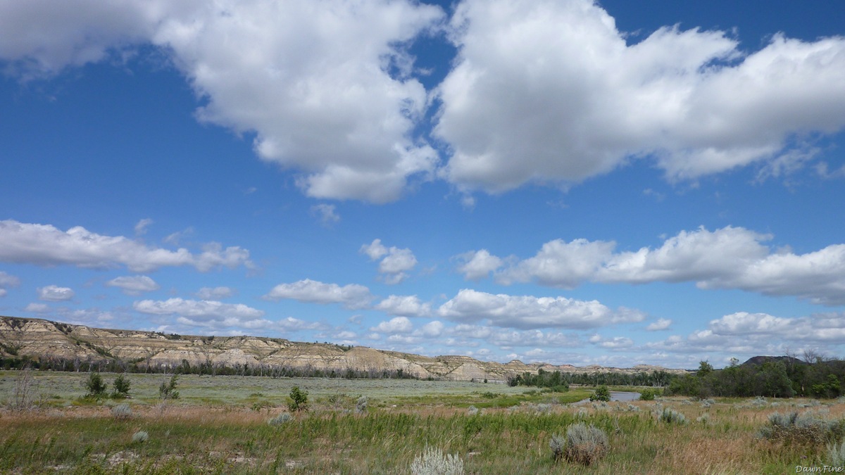 [TRoosv. NP_20090817_034.jpg]