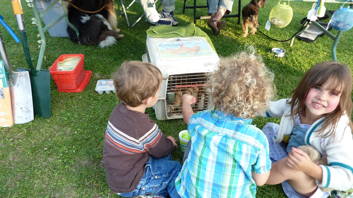 [livingston_20090819_009[2].jpg]