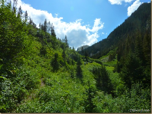 Elephant mountain hike_20090825_035