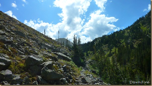 Elephant mountain hike_20090825_065