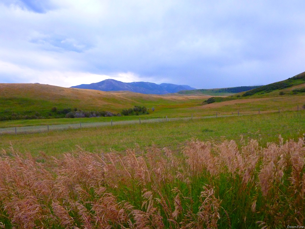 [Hike west boulder_20090822_177.jpg]