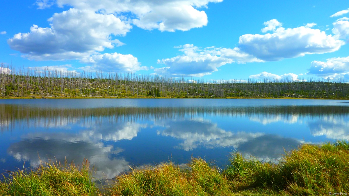 [cascadelakehike_20090902_0103.jpg]